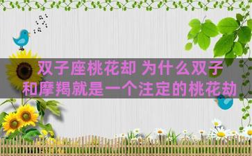 双子座桃花却 为什么双子和摩羯就是一个注定的桃花劫